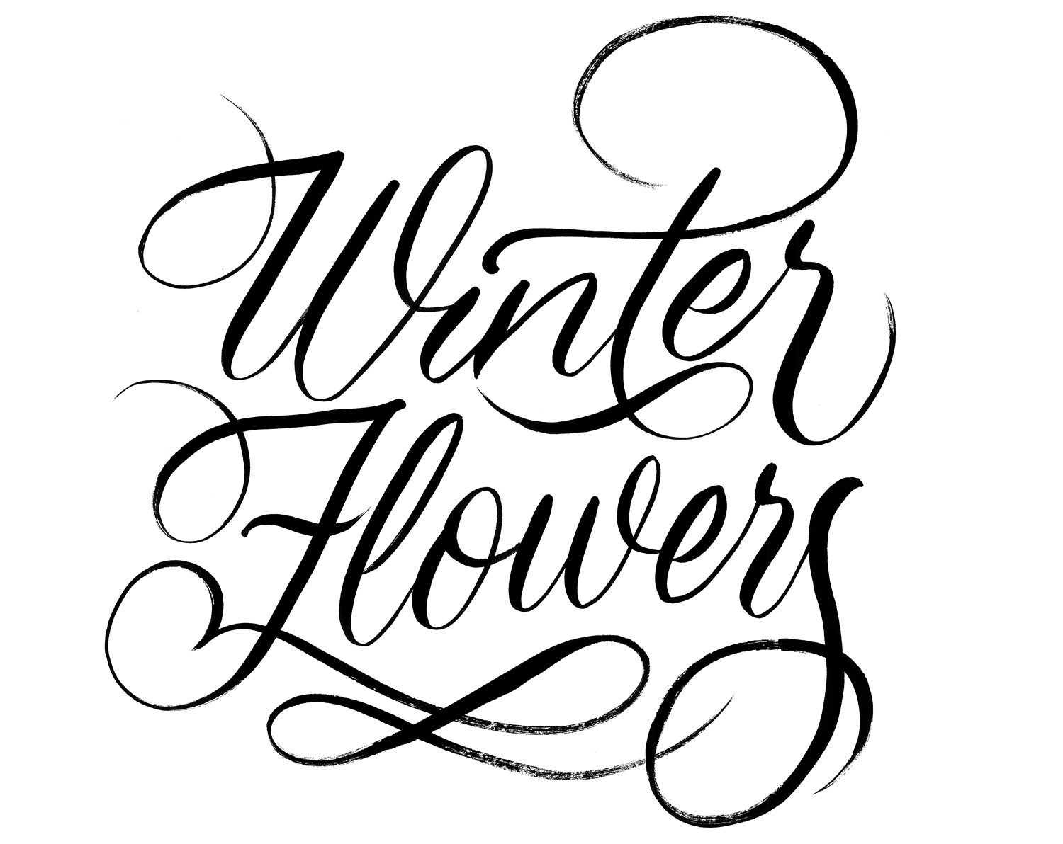 Winter-Flowers
